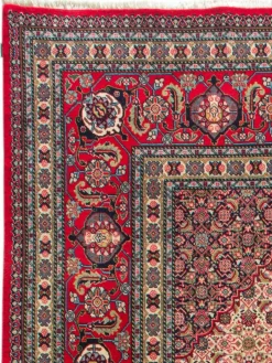 Sarough Mashayekhi|Kibek Hot