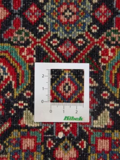 Sarough Mashayekhi|Kibek Hot