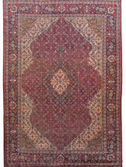 Sarough Mashayekhi|Kibek New