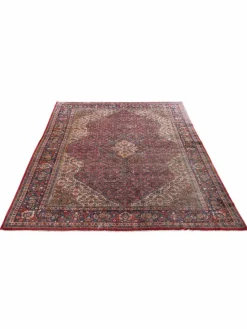 Sarough Mashayekhi|Kibek New