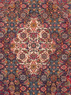 Sarough Mashayekhi|Kibek New