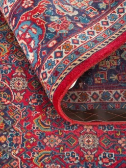 Sarough Mashayekhi|Kibek New