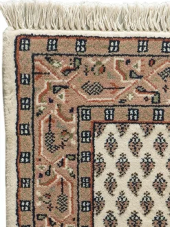 Sarough Mir|Kibek Online