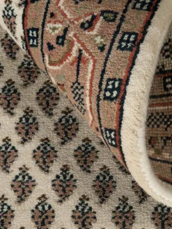 Sarough Mir|Kibek Online