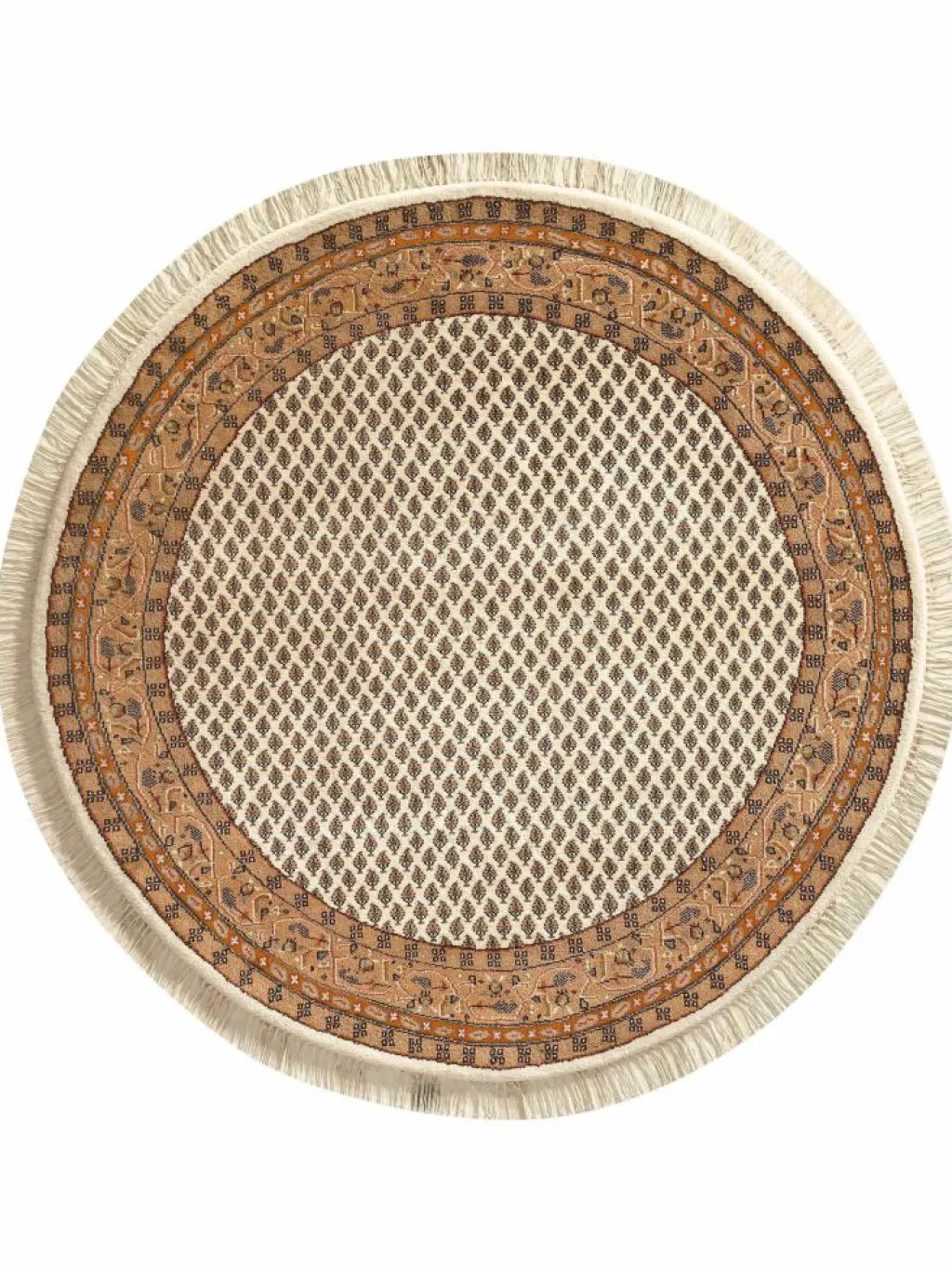 Sarough Mir|Kibek Clearance