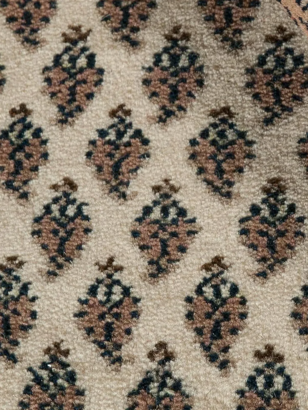 Sarough Mir|Kibek Clearance