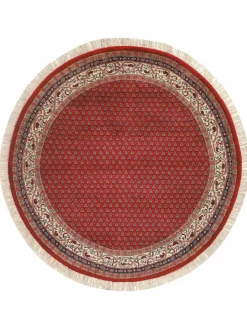 Sarough Mir|Kibek Best