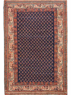 Sarough Mir|Kibek Hot