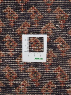 Sarough Mir|Kibek Hot