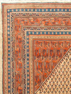 Sarough Mir|Kibek Best