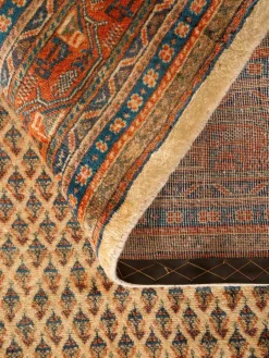 Sarough Mir|Kibek Best