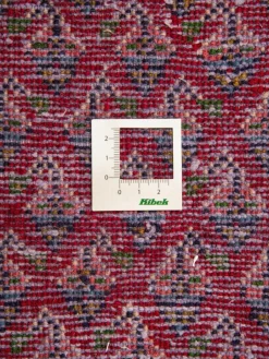 Sarough Mir|Kibek Hot