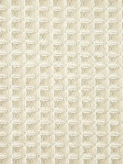 Seaville|Kibek Outlet