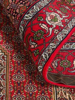 Senneh|Kibek Discount