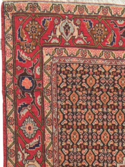 Senneh|Kibek Discount