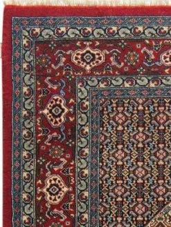 Senneh|Kibek Discount