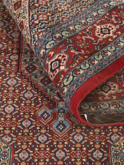 Senneh|Kibek Discount