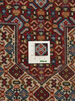 Senneh|Kibek Discount