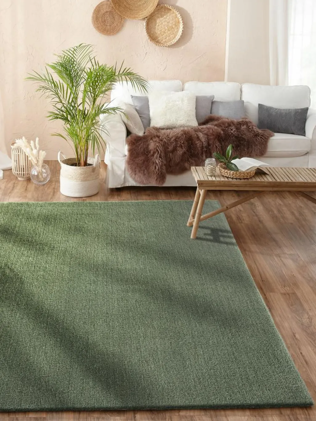 Sensation|Kibek Online