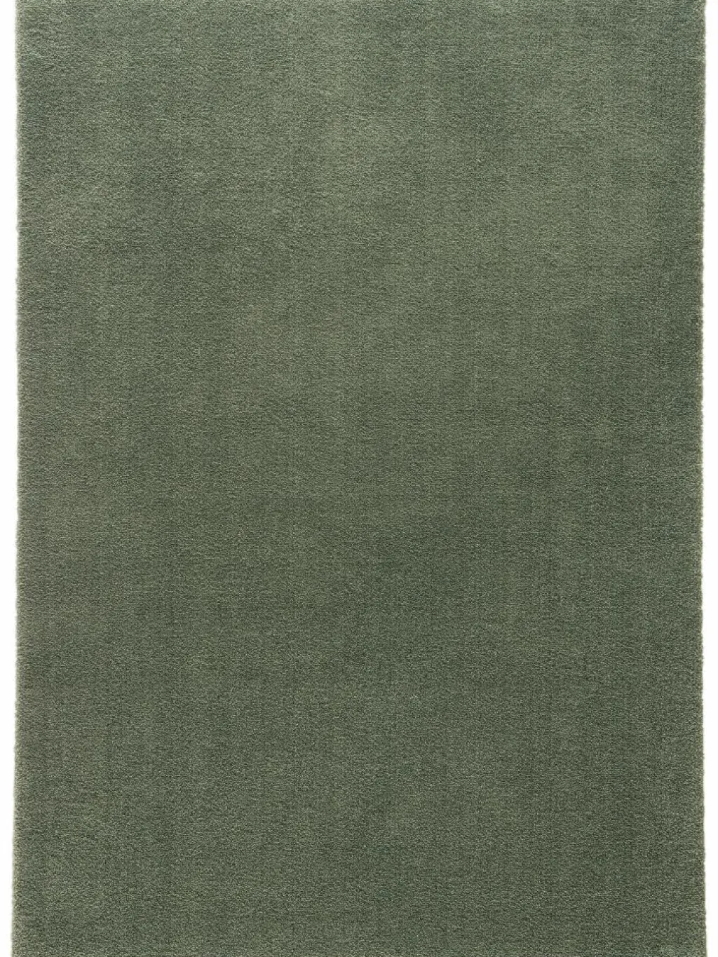 Sensation|Kibek Online