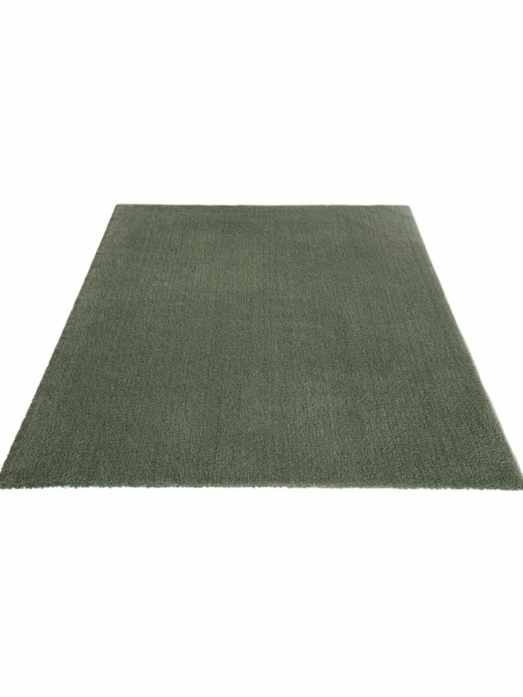 Sensation|Kibek Online