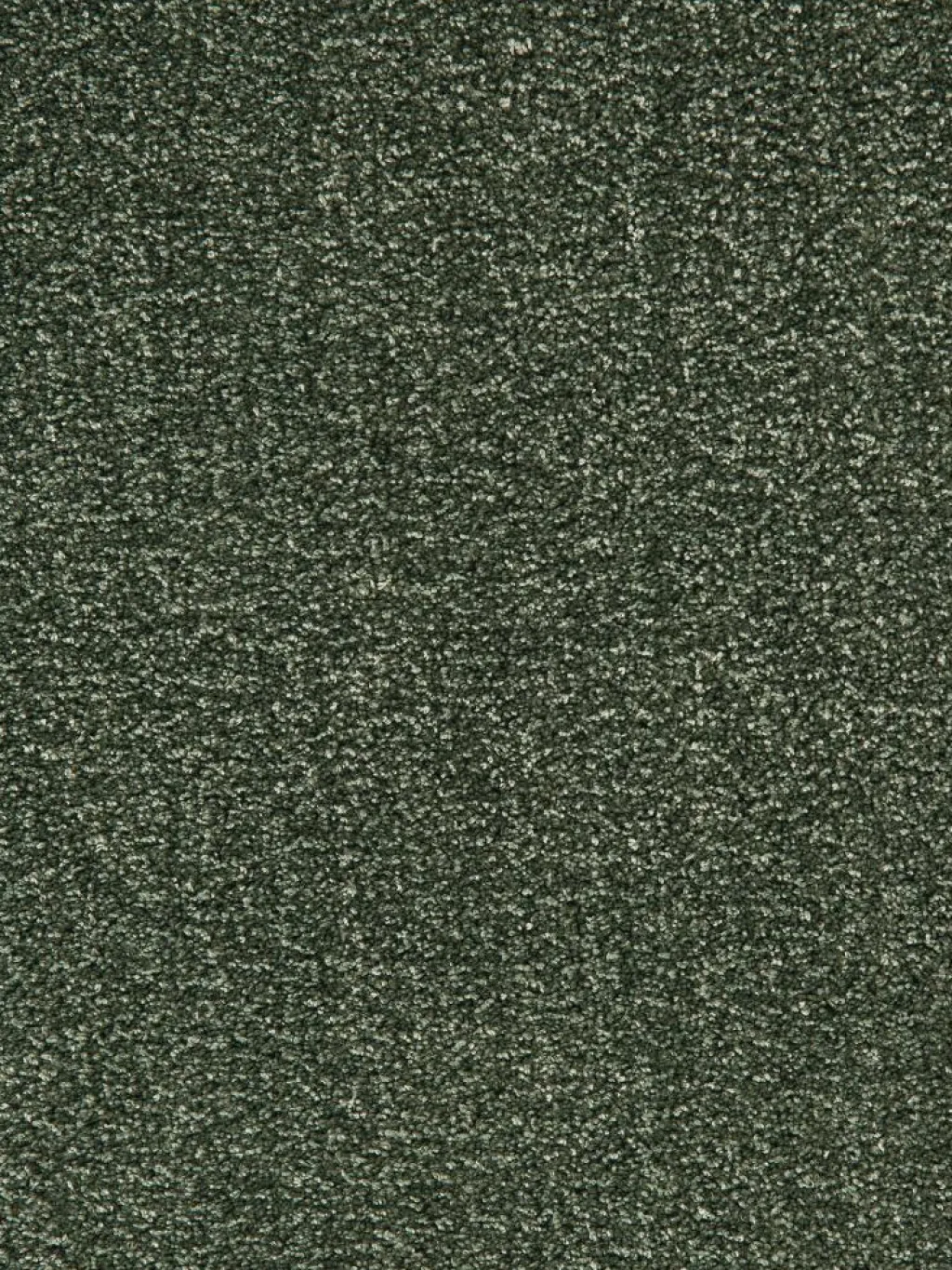 Sensation|Kibek Online