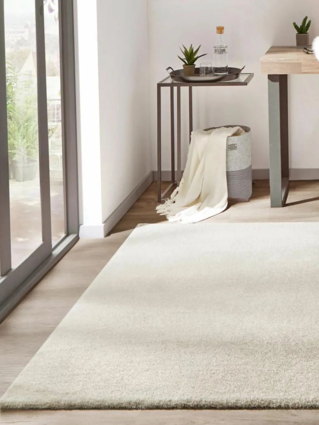 Sensation|Kibek Clearance