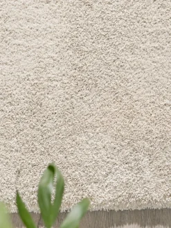 Sensation|Kibek Clearance