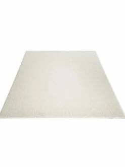 Sensation|Kibek Clearance