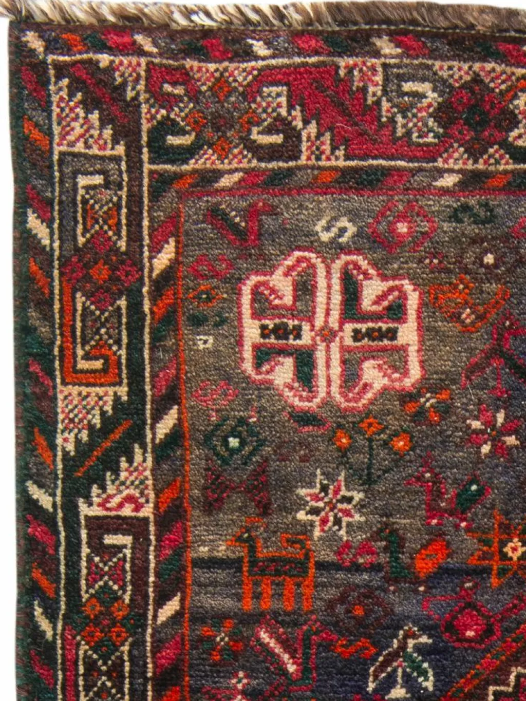 Shiraz|Kibek Clearance