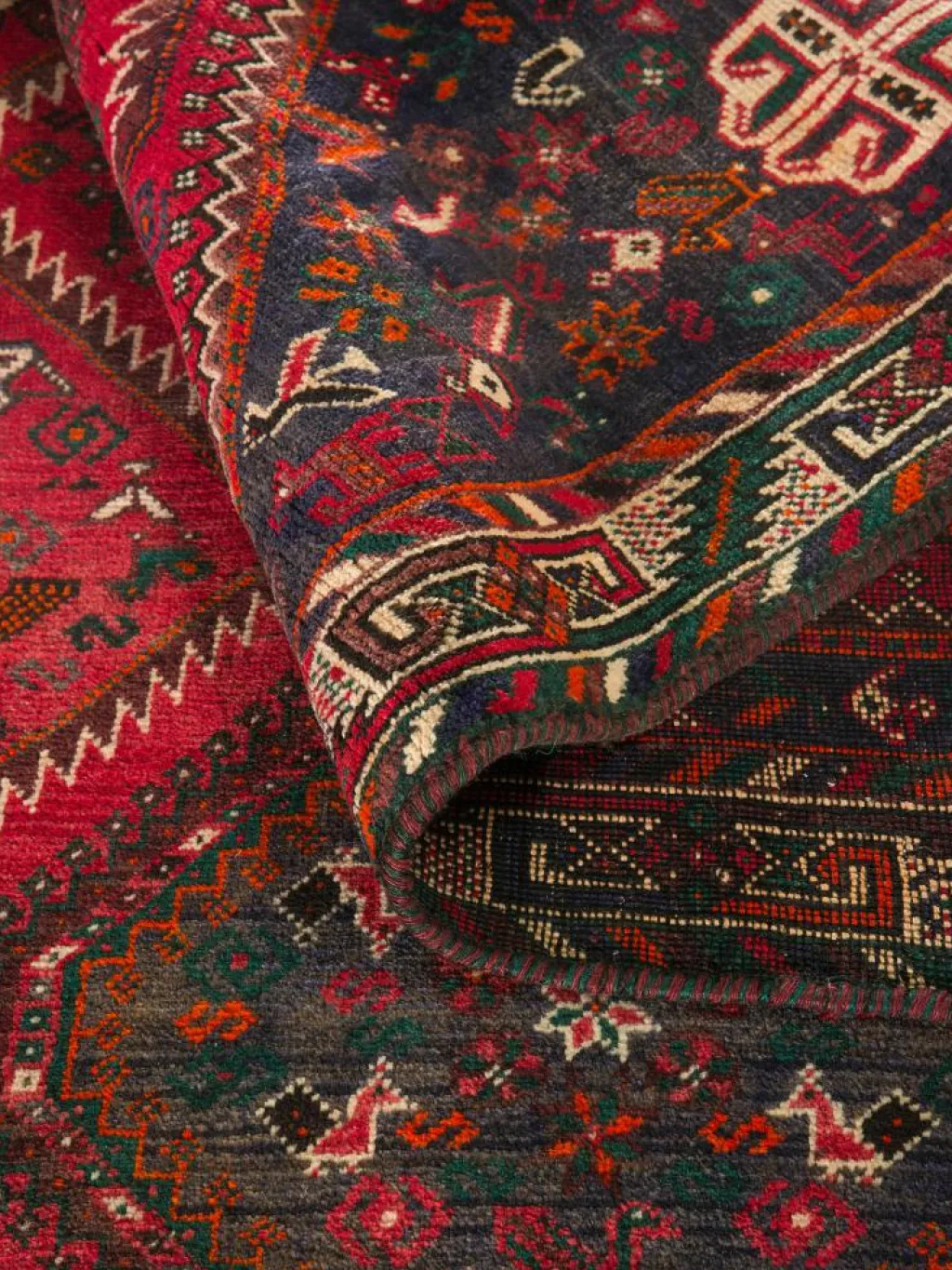 Shiraz|Kibek Clearance