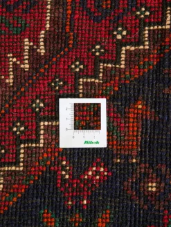 Shiraz|Kibek Clearance