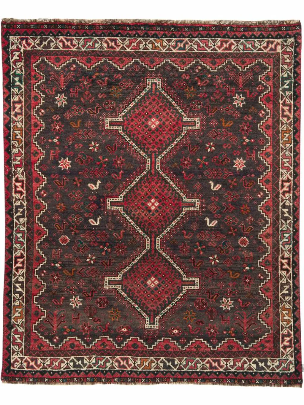 Shiraz|Kibek Discount