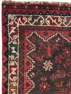 Shiraz|Kibek Discount