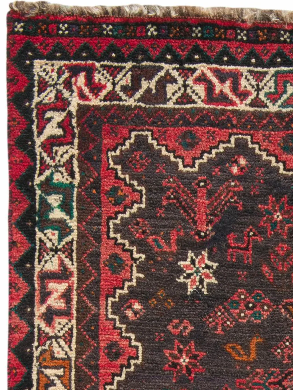 Shiraz|Kibek Discount