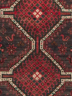 Shiraz|Kibek Discount