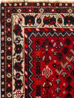 Shiraz|Kibek Clearance