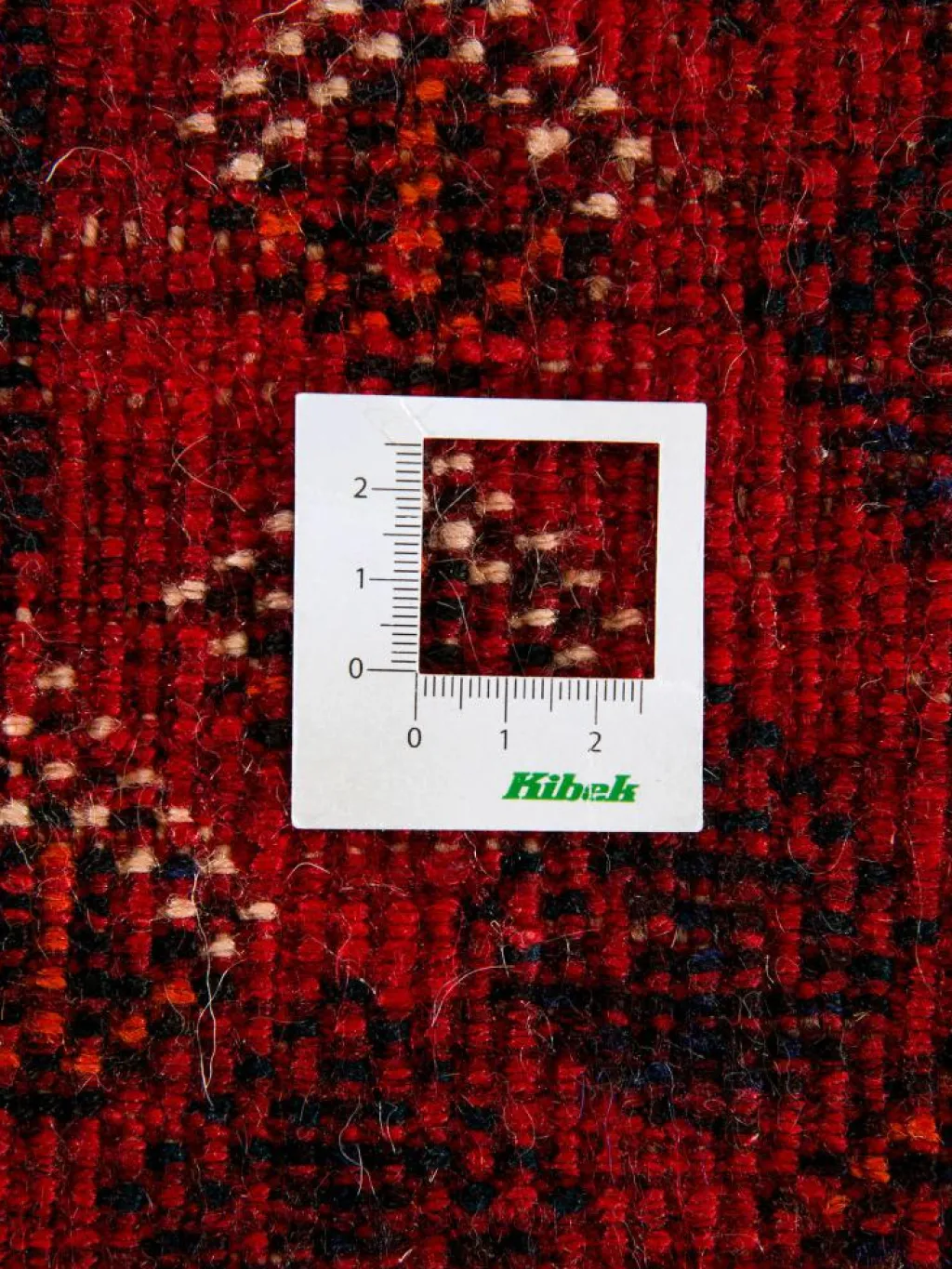 Shiraz|Kibek Clearance