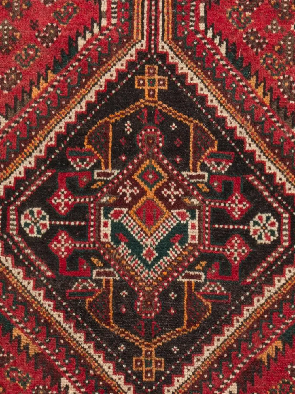 Shiraz|Kibek Clearance