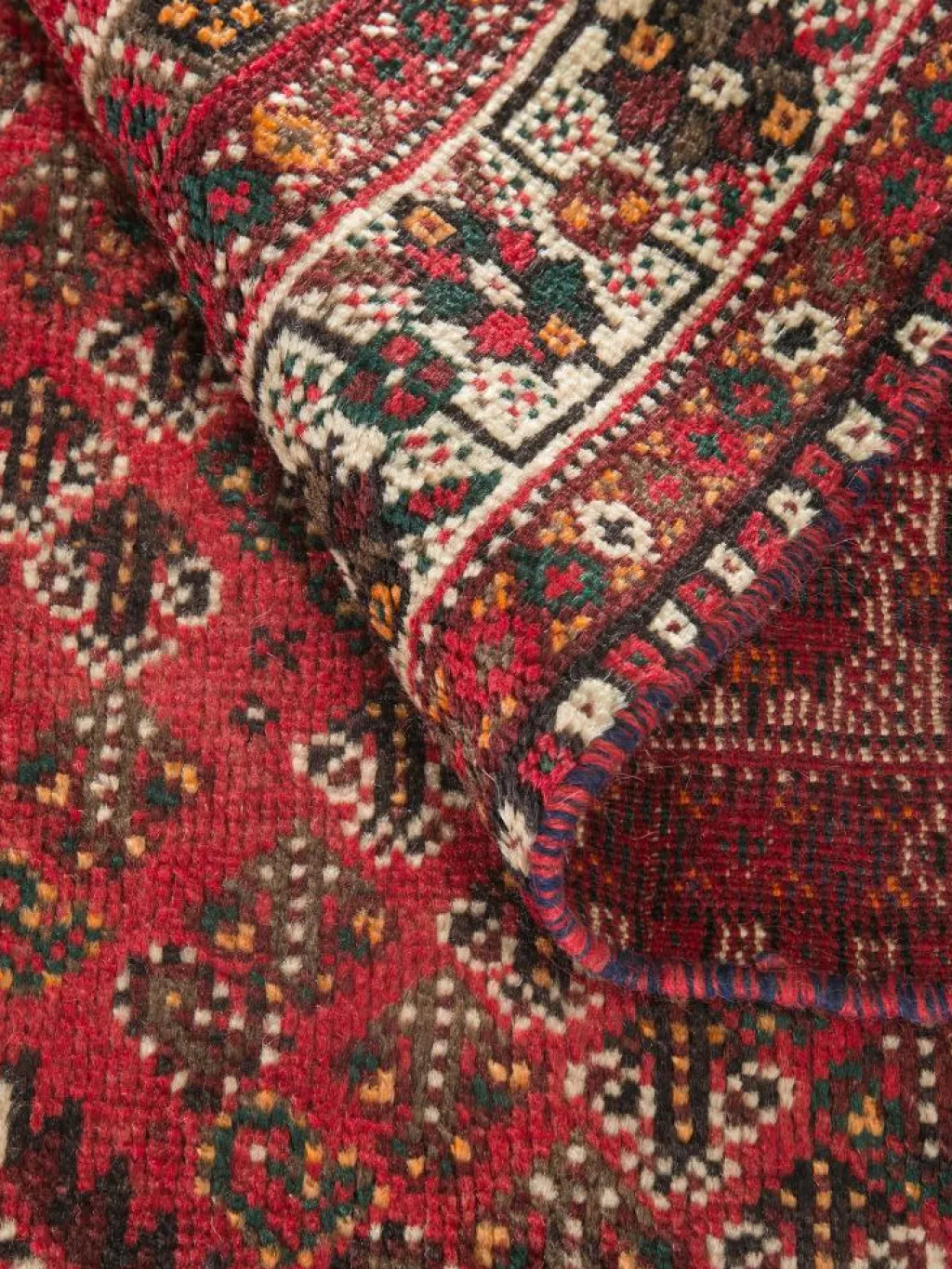 Shiraz|Kibek Clearance