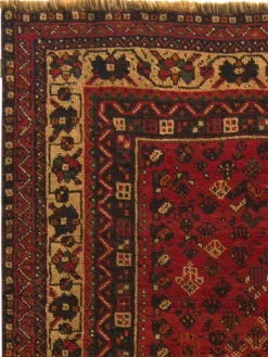 Shiraz|Kibek Clearance