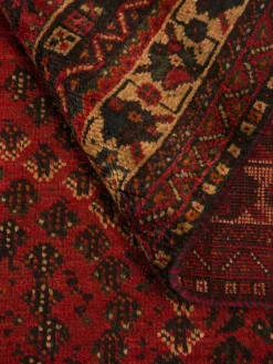 Shiraz|Kibek Clearance