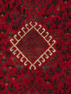 Shiraz|Kibek Discount