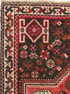 Shiraz|Kibek Clearance