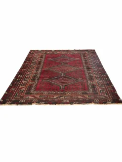 Shiraz|Kibek Clearance