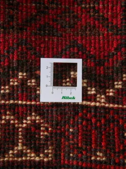 Shiraz|Kibek Clearance