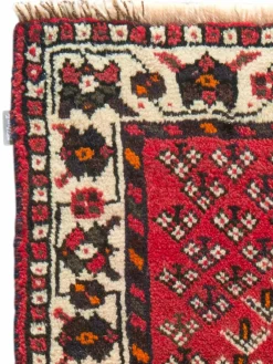 Shiraz|Kibek Discount