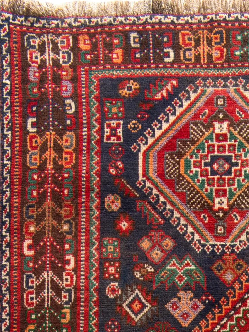 Shiraz|Kibek Clearance