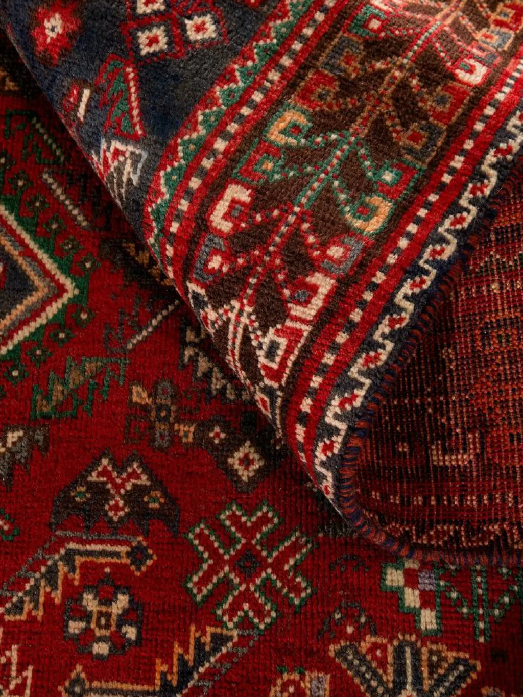 Shiraz|Kibek Clearance