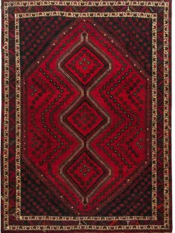 Shiraz|Kibek Clearance